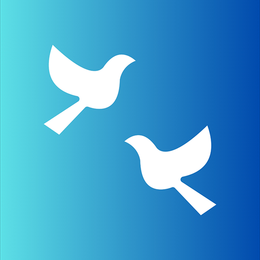 NON-VIOLENCE